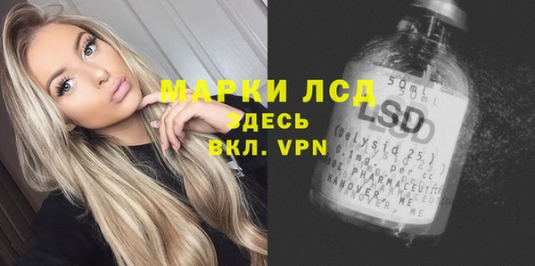 ГАЛЛЮЦИНОГЕННЫЕ ГРИБЫ Белокуриха